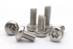 Titanium Screws