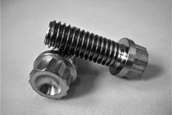 Titanium 12 Point Bolts