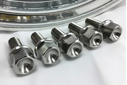 Titanium Lug Bolts
