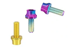 Titanium Bottle Cage Bolts