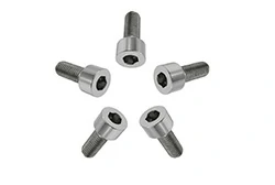 M5 Titanium Screws