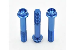 Blue Titanium Bolts