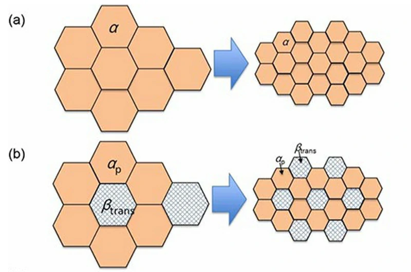 Microstructure and phase composition