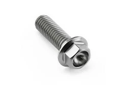Titanium Nuts