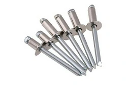 Titanium Rivets