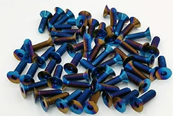 Burnt Titanium Bolts