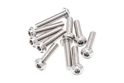 Titanium Screws