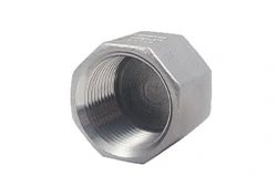Pipe Plugs and Caps