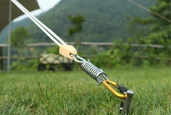 Tent Guyline Springs