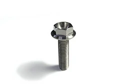 M8 Flanged 6 Point Hex Titanium Bolt M8 Flanged 6 Point Hex Titanium Bolt