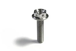M6 Flanged 6 Point Drilled Hex Titanium Bolt M6 Flanged 6 Point Drilled Hex Titanium Bolt
