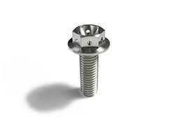 M10 Flanged 6 Point Drilled Hex Titanium Bolt M10 Flanged 6 Point Drilled Hex Titanium Bolt