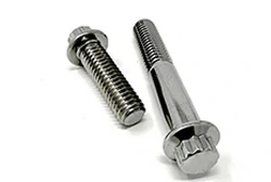 Titanium 12 Point Bolts Titanium 12 Point Bolts