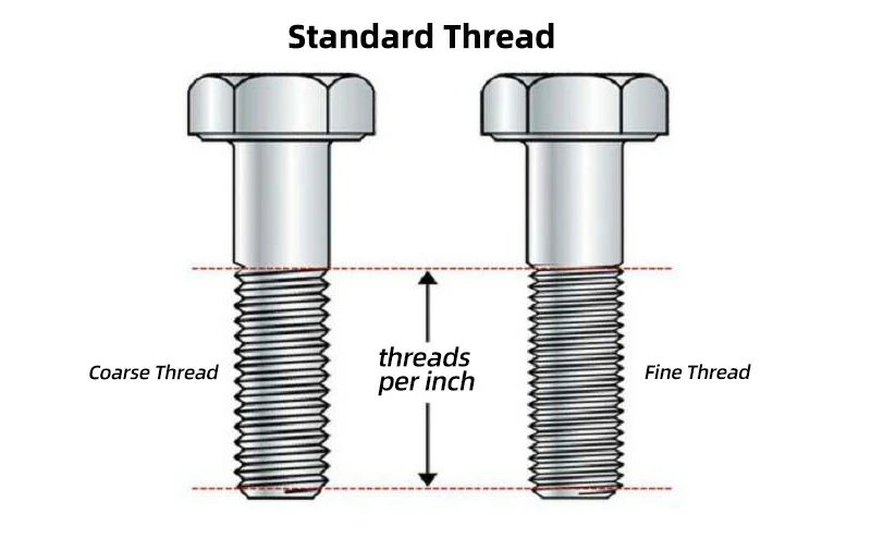 Thread Options: Guide to Choosing Coarse or Fine Threads