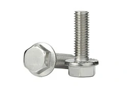 Titanium Flange Bolts