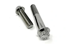 Titanium 12 Point Bolts
