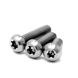 Titanium torx screws