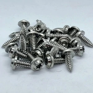 Titanium wood screws
