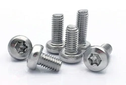 Titanium Torx Screws