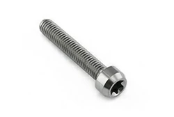 Titanium cylindrical head Torx drive bolt M8×1.25×45 mm