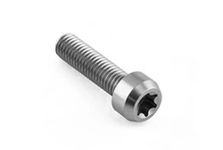 Titanium cylindrical head Torx drive bolt M8×1.25×30 mm