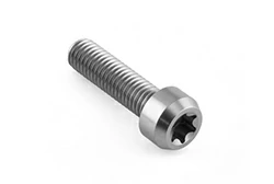 Titanium cylindrical head Torx drive bolt M8×1.25×35 mm
