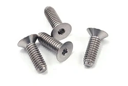 Titanium Flat Head Screws
