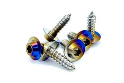 Titanium Self Tapping Screws