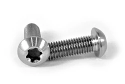Titanium Torx Screws