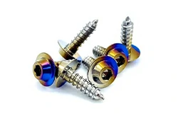 Titanium Self Tapping Screws