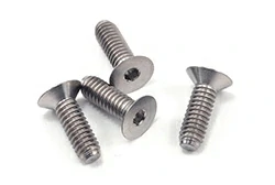 Titanium Flat Head Screws