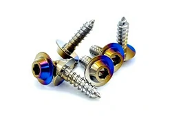 Titanium Self Tapping Screws