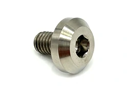 ไทเทเนียม M6x10 สลักเกลียวหัวกระดุม (หัวใหญ่)