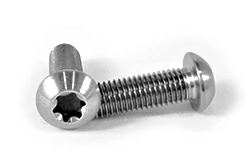 สกรูไทเทเนียมทอร์กซ์