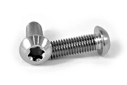 Titanium Torx Screws