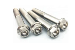 Titanium Bolts Titanium Bolts