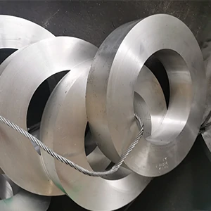 Halka haddelenmiş titanyum dövme halkalar