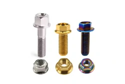 Seatpost & Clamp Bolts