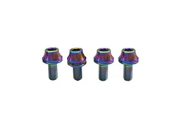 Disc brake and chainring bolts