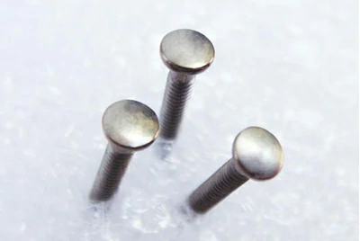 Titanium screws for eyeglass frames