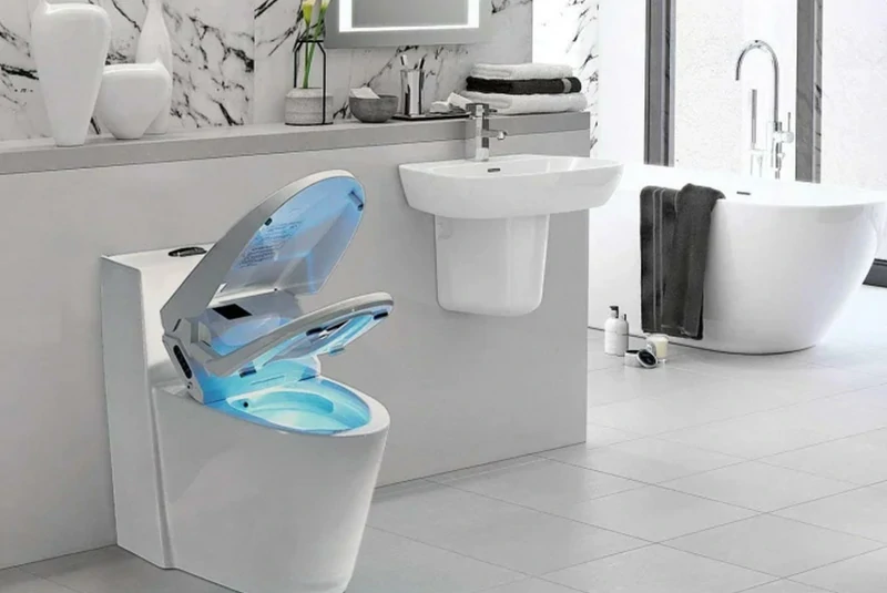 Electrolyzed water system for smart toilet cleaning