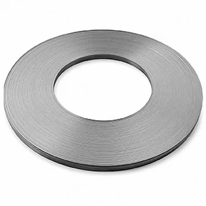 Titanium ribbon anode