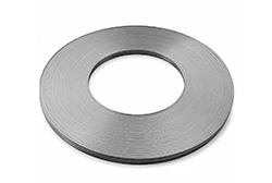 Titanium mesh electrodes
