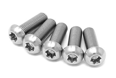 Titanium Torx Screws